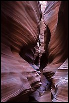 Narrows, High Spur slot canyon, Orange Cliffs Unit, Glen Canyon National Recreation Area, Utah. USA ( color)