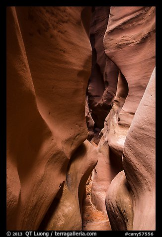 Curved walls, High Spur slot canyon, Orange Cliffs Unit, Glen Canyon National Recreation Area, Utah. USA (color)