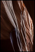 Sandstone carved by water, High Spur slot canyon, Orange Cliffs Unit, Glen Canyon National Recreation Area, Utah. USA ( color)