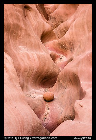 Sandstone waves and stone, High Spur slot canyon, Orange Cliffs Unit, Glen Canyon National Recreation Area, Utah. USA (color)