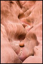 Sandstone waves and stone, High Spur slot canyon, Orange Cliffs Unit, Glen Canyon National Recreation Area, Utah. USA ( color)