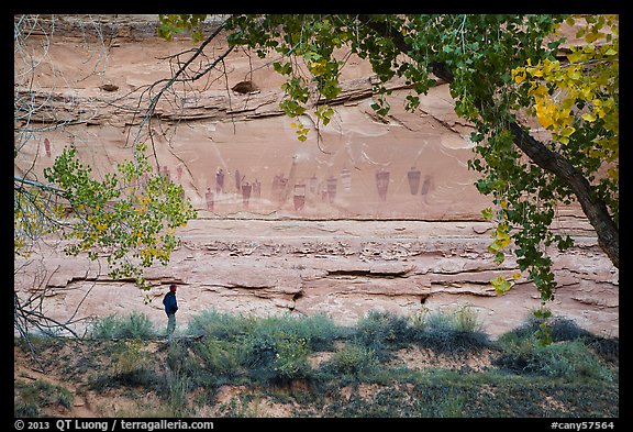 Park visitor looking, the Great Gallery,  Horseshoe Canyon. Canyonlands National Park, Utah, USA.