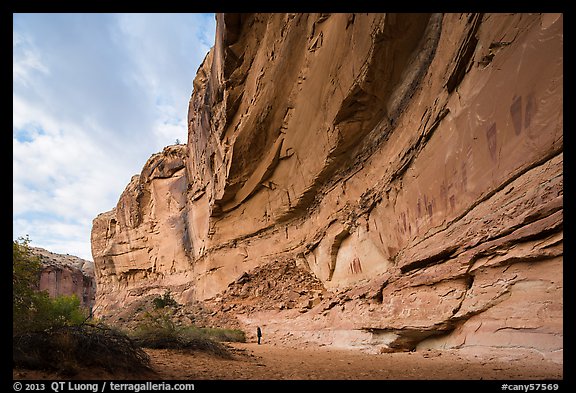 Hiker looking, the Great Gallery, Horseshoe Canyon. Canyonlands National Park, Utah, USA.