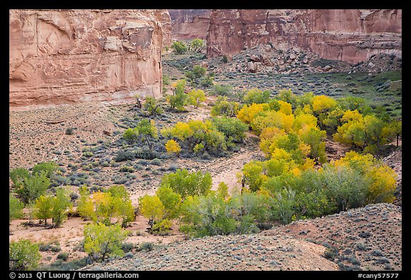 Horseshoe Canyon in autumn. Canyonlands National Park (color)