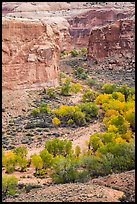 Horseshoe Canyon from the rim in autumn. Canyonlands National Park, Utah, USA. (color)