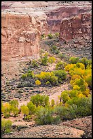 Horseshoe Canyon from the rim in autumn. Canyonlands National Park, Utah, USA.