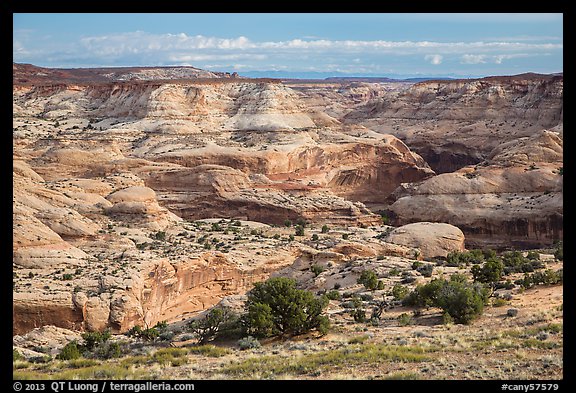 Horseshoe Canyon rim. Canyonlands National Park (color)