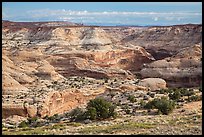 Horseshoe Canyon rim. Canyonlands National Park, Utah, USA. (color)