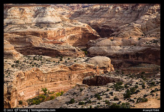 Horseshoe Canyon rims. Canyonlands National Park (color)