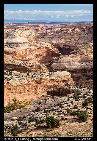 Horseshoe Canyon seen from above. Canyonlands National Park (color)