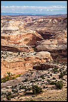 Horseshoe Canyon seen from above. Canyonlands National Park ( color)