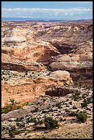 Horseshoe Canyon seen from above. Canyonlands National Park, Utah, USA. (color)