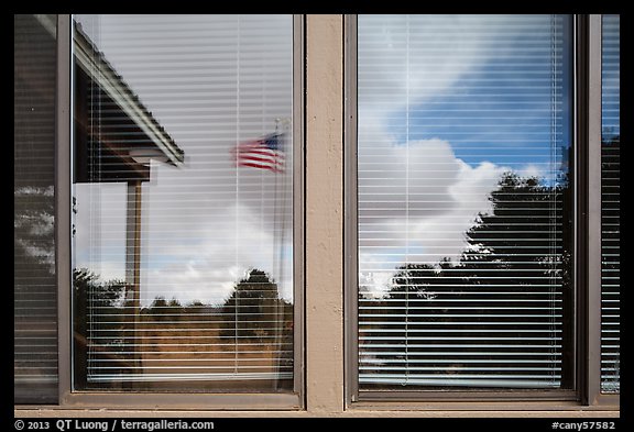 Desert trees, Hans Flat ranger station window reflexion. Canyonlands National Park (color)