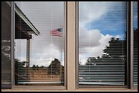 Desert trees, Hans Flat ranger station window reflexion. Canyonlands National Park, Utah, USA. (color)