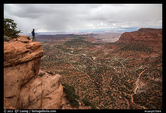 Park visitor looking, Wingate Cliffs at Flint Trail overlook. Canyonlands National Park (color)