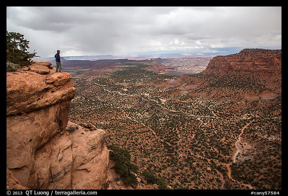 Park visitor looking, Wingate Cliffs at Flint Trail overlook. Canyonlands National Park, Utah, USA.