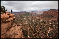 Park visitor looking, Wingate Cliffs at Flint Trail overlook. Canyonlands National Park, Utah, USA. (color)