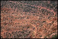 Steep switchbacks of the Flint Trail, Orange Cliffs Unit, Glen Canyon National Recreation Area, Utah. USA ( color)