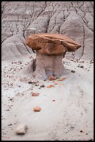 Mushroom rock and bentonite badlands, Orange Cliffs Unit, Glen Canyon National Recreation Area, Utah. USA ( color)