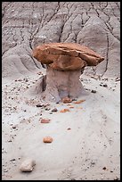 Mushroom rock and bentonite badlands, Orange Cliffs Unit, Glen Canyon National Recreation Area, Utah. USA (color)