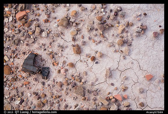 Ground close-up of clay with rocks and petrified wood, Orange Cliffs Unit, Glen Canyon National Recreation Area, Utah. USA