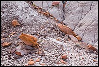 Rocks and clay badlands, Orange Cliffs Unit, Glen Canyon National Recreation Area, Utah. USA ( color)