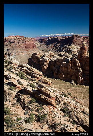 Surprise Valley, Colorado River seen from Dollhouse. Canyonlands National Park (color)