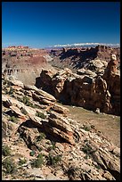 Surprise Valley, Colorado River seen from Dollhouse. Canyonlands National Park, Utah, USA.