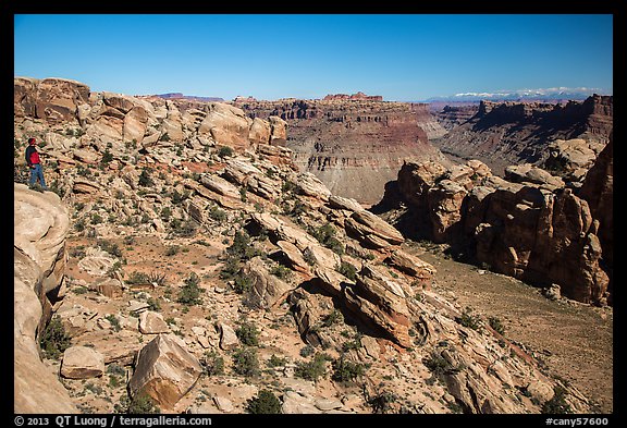 Park visitor looking, Surprise Valley overlook. Canyonlands National Park, Utah, USA.