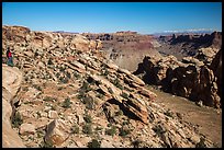 Park visitor looking, Surprise Valley overlook. Canyonlands National Park, Utah, USA. (color)