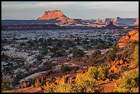 Maze and Elaterite Butte at sunset. Canyonlands National Park, Utah, USA.