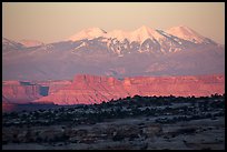 Distant Island in the Sky cliffs and La Sal mountains. Canyonlands National Park, Utah, USA.