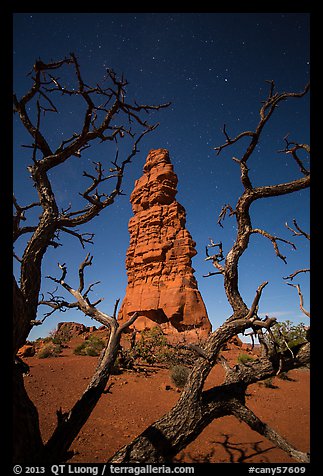 Standing Rock at night seen through branches. Canyonlands National Park (color)