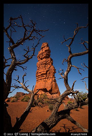 Standing Rock at night seen through branches. Canyonlands National Park, Utah, USA.