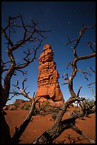 Standing Rock at night seen through branches. Canyonlands National Park ( color)