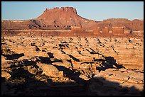 Chocolate drops, Maze canyons, and Elaterite Butte, early morning. Canyonlands National Park, Utah, USA.