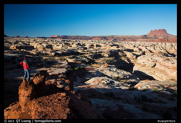 Park visitor looking, Maze canyons. Canyonlands National Park, Utah, USA.