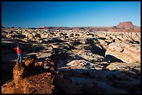 Park visitor looking, Maze canyons. Canyonlands National Park, Utah, USA.