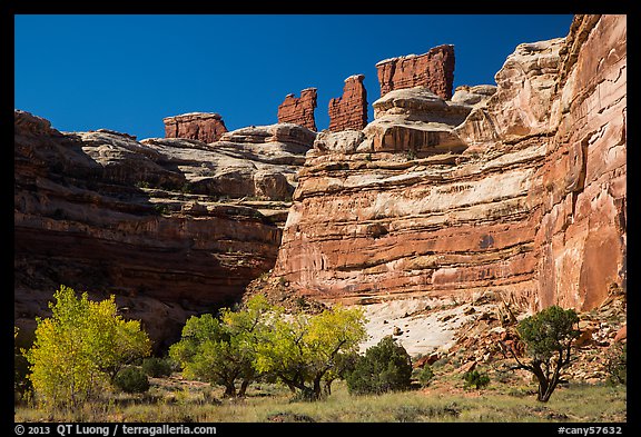 Cottonwoods, canyon walls, and Chocolate Drops. Canyonlands National Park, Utah, USA.