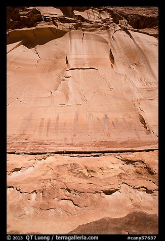 Looking up canyon wall with Harvest Scene pictographs. Canyonlands National Park (color)