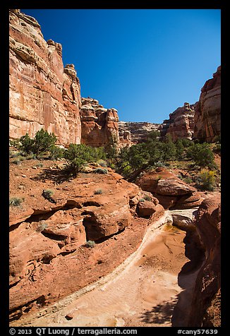 Canyon bottom, the Maze. Canyonlands National Park, Utah, USA.