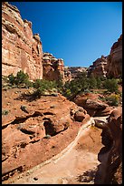 Canyon bottom, the Maze. Canyonlands National Park ( color)