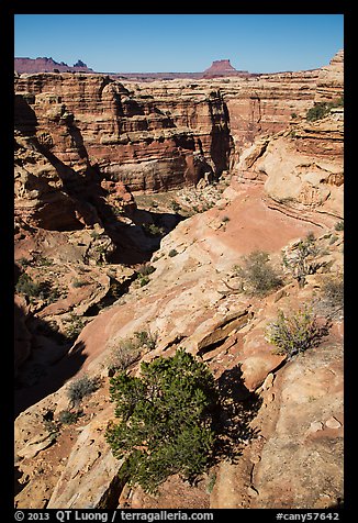 Maze canyons and Eckert Butte. Canyonlands National Park (color)