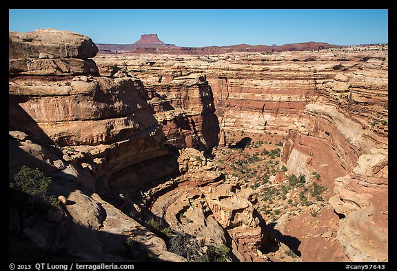 Curved Cedar Mesa sandstone canyons from the rim, Maze District. Canyonlands National Park (color)