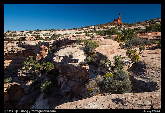 Chimney rock above Maze canyons. Canyonlands National Park, Utah, USA.