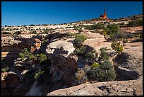 Chimney rock above Maze canyons. Canyonlands National Park, Utah, USA.