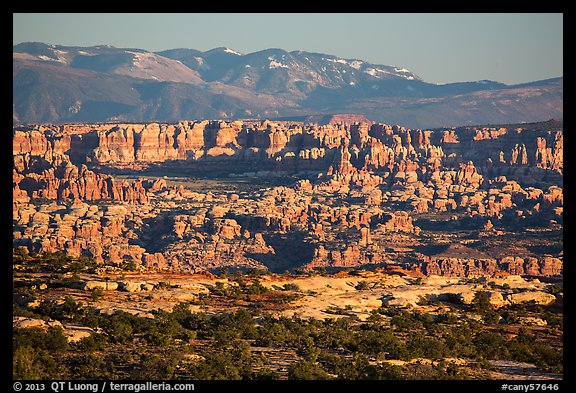 Needles seen from the Maze, late afternoon. Canyonlands National Park, Utah, USA.