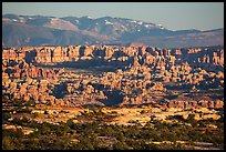 Needles seen from the Maze, late afternoon. Canyonlands National Park, Utah, USA. (color)