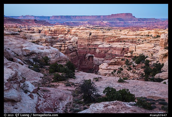 Shot Canyon at dusk, Maze District. Canyonlands National Park, Utah, USA.