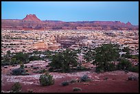 Maze and  Elaterite Butte seen at dawn from Standing Rock. Canyonlands National Park, Utah, USA.
